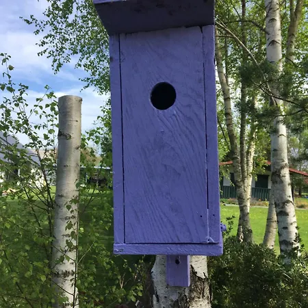 Lawendowo Mi Raz Dwa Trzy コパリノ