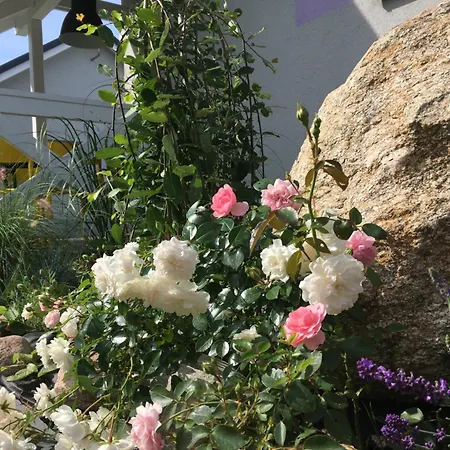 Lawendowo Mi Raz Dwa Trzy アパート コパリノ