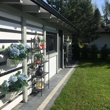 Lawendowo Mi Raz Dwa Trzy *