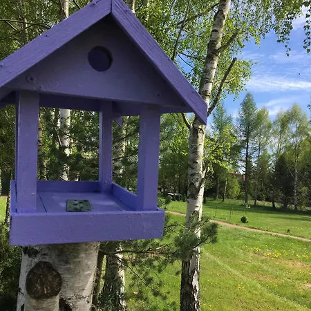 Lawendowo Mi Raz Dwa Trzy アパート *