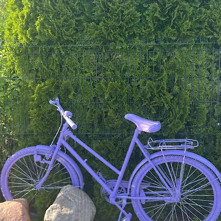 アパート Lawendowo Mi Raz Dwa Trzy コパリノ