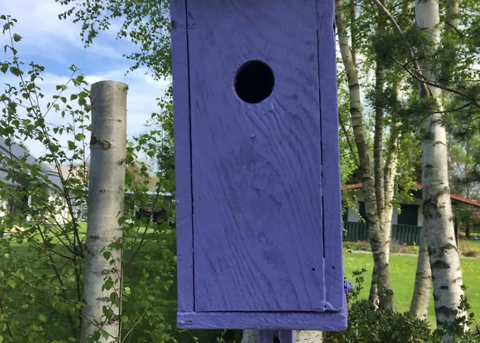 Lawendowo Mi Raz Dwa Trzy Kopalino