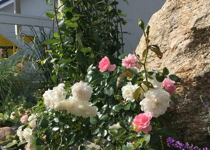 Lawendowo Mi Raz Dwa Trzy Lejlighed Kopalino