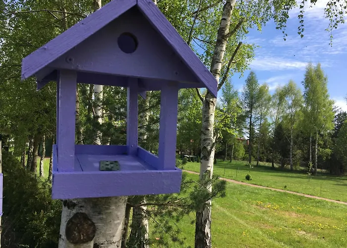 Lawendowo Mi Raz Dwa Trzy Lejlighed *