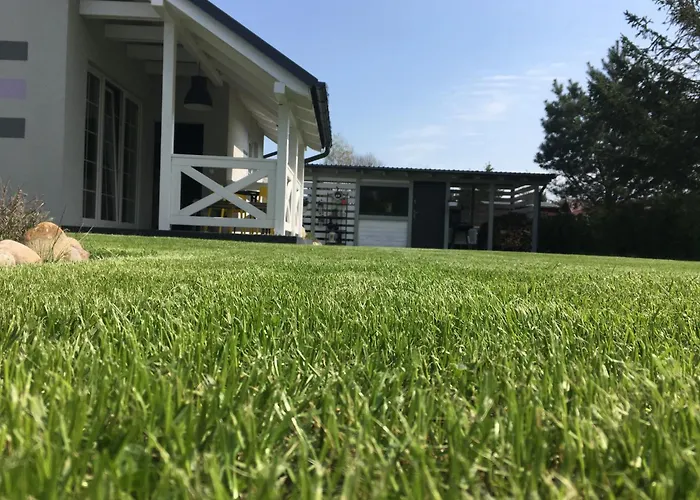 Lawendowo Mi Raz Dwa Trzy Lejlighed Kopalino