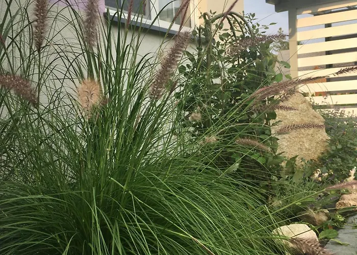 Lejlighed Lawendowo Mi Raz Dwa Trzy