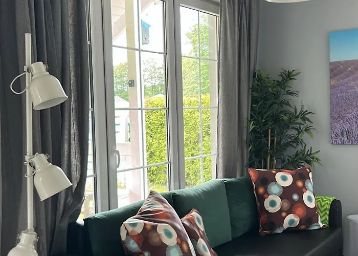 Lawendowo Mi Raz Dwa Trzy