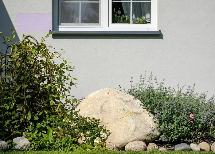 Lawendowo Mi Raz Dwa Trzy * Kopalino