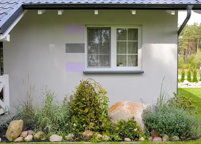 Lawendowo Mi Raz Dwa Trzy * Kopalino