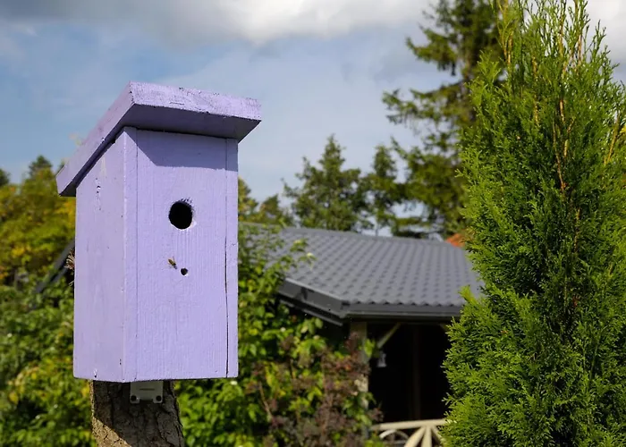 Lejlighed Lawendowo Mi Raz Dwa Trzy